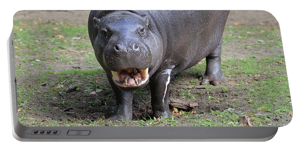 Pygmy-hippo Portable Battery Charger featuring the photograph Pygmy Hippo Ready for the Dental Exam by DejaVu Designs