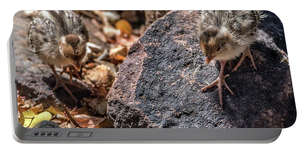 Quail Portable Battery Charger featuring the photograph Quail Chicks 9193 by Tam Ryan