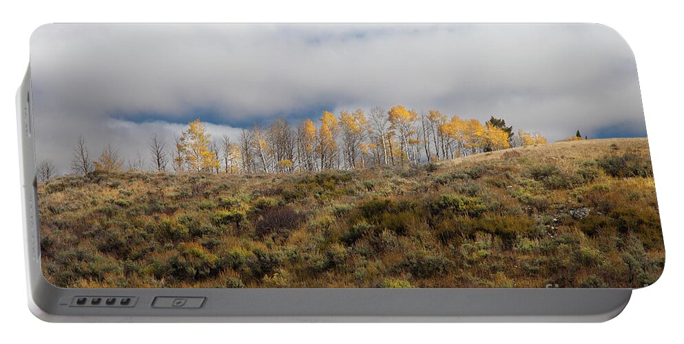 Aspen Tree Portable Battery Charger featuring the photograph Quaking Aspen Tree Landscape, Grand Teton National Park, Wyoming by Greg Kopriva