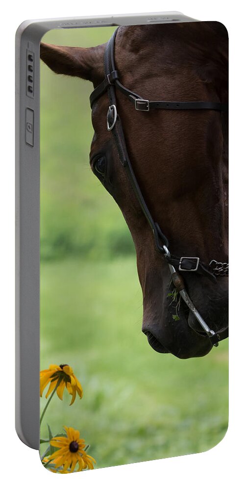 Quarter Horse Portable Battery Charger featuring the photograph Quarter Horse by Holden The Moment