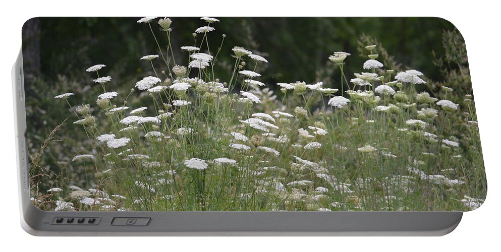 Queen Anne's Lace 16-01 Portable Battery Charger featuring the photograph Queen Anne's Lace 16-01 by Maria Urso