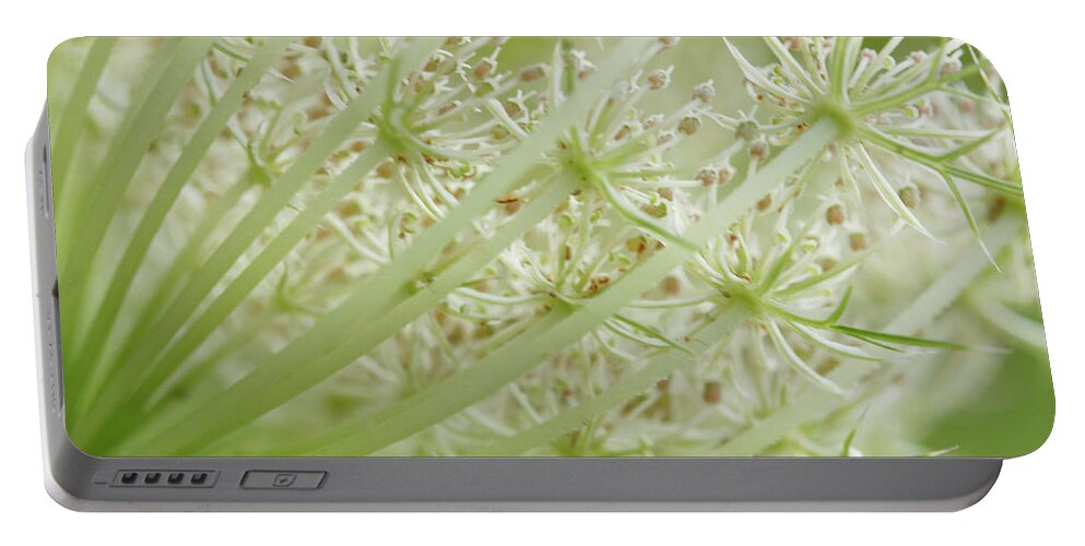 Cindi Ressler Portable Battery Charger featuring the photograph Queen Anne's Lace by Cindi Ressler