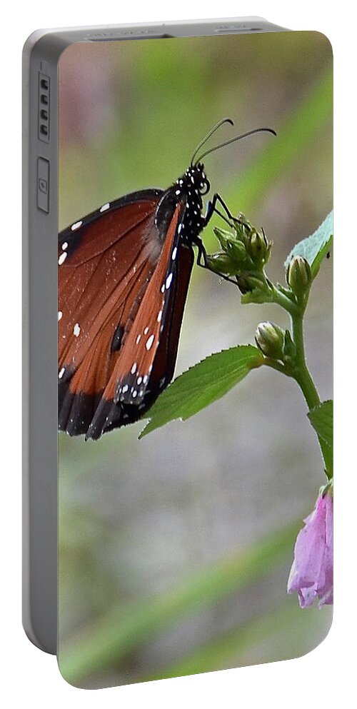 Butterfly Portable Battery Charger featuring the photograph Queen Butterfly by Carol Bradley