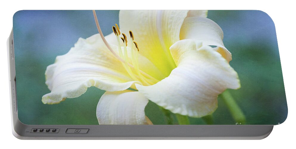 Daylily Portable Battery Charger featuring the photograph Queen of the Garden by Anita Pollak