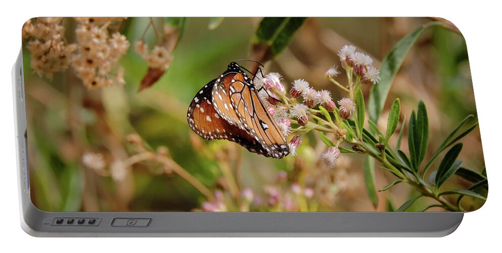 Queen Butterfly Portable Battery Charger featuring the photograph Queen of the Hassayampa by Gaelyn Olmsted