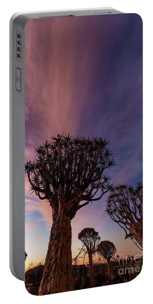 Africa Portable Battery Charger featuring the photograph Quiver Trees 14 by Inge Johnsson