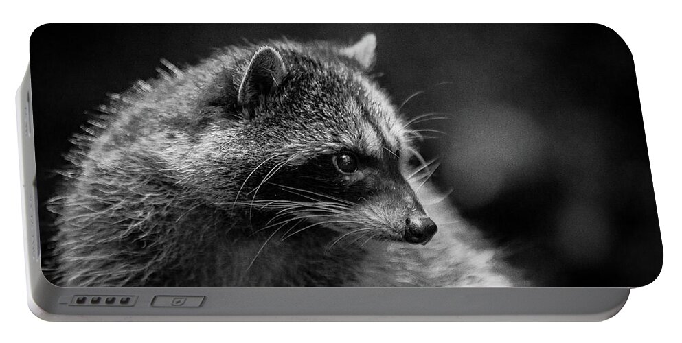 Wildlife Portable Battery Charger featuring the photograph Raccoon 3 by Jason Brooks