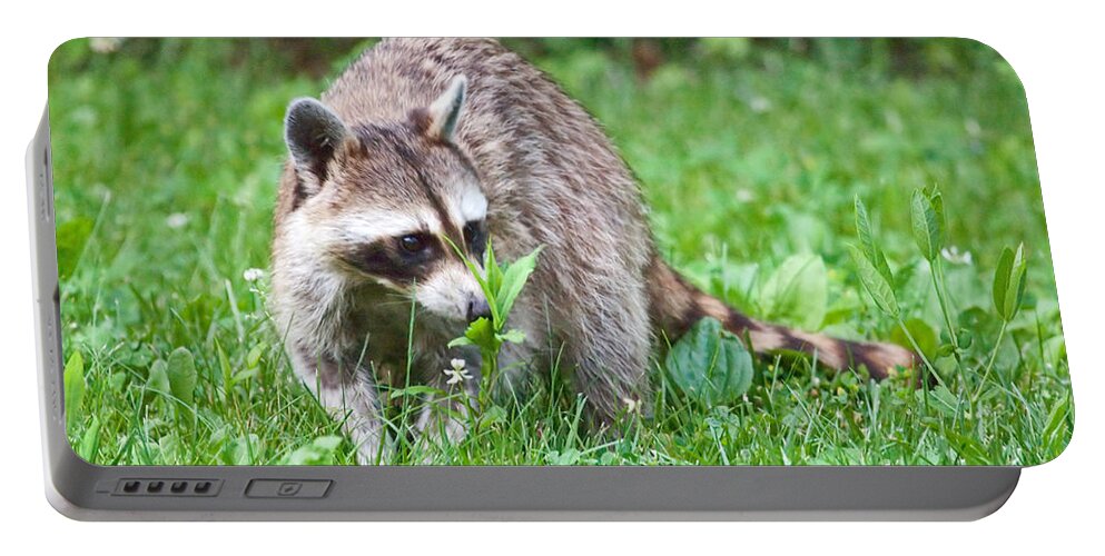 Raccoon Portable Battery Charger featuring the photograph Raccoon Smelling Flowers by Jeannette Hunt