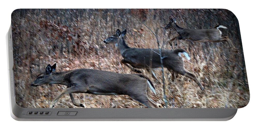 Deer Portable Battery Charger featuring the photograph Race Through The Woods by Bill Stephens
