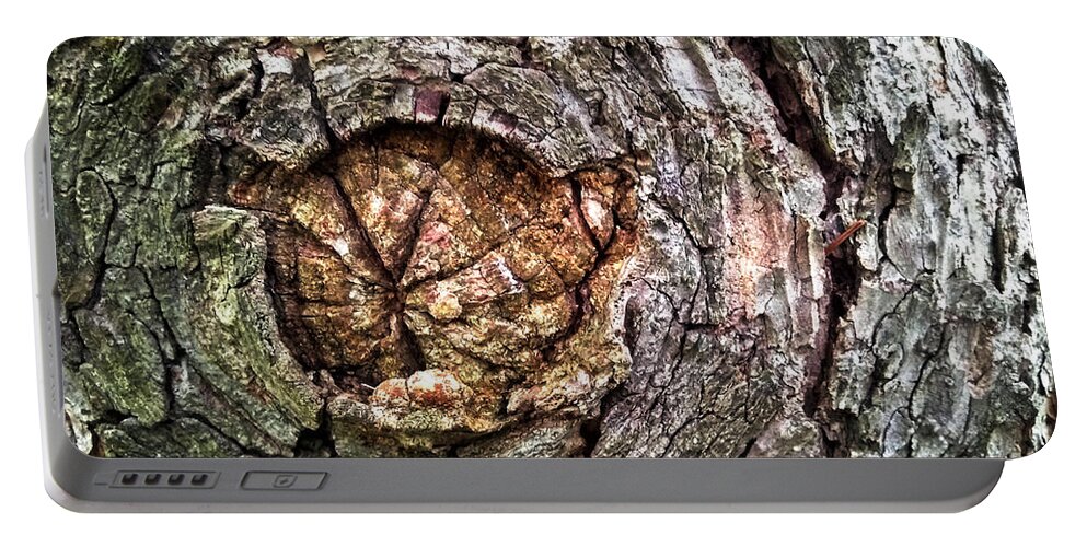 Tree Portable Battery Charger featuring the photograph Radial by Robert Knight