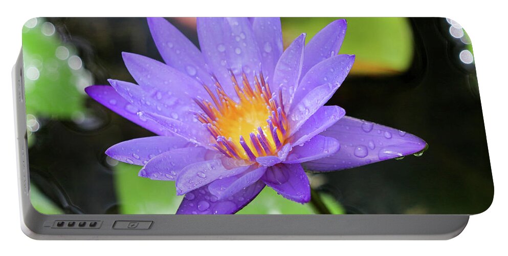 Water Lily Portable Battery Charger featuring the photograph Rain-dropped Waterlily by Mary Anne Delgado