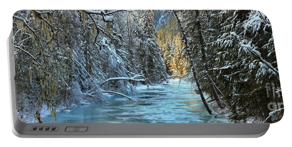 Robson River Portable Battery Charger featuring the photograph Rain Forest Winter by Adam Jewell