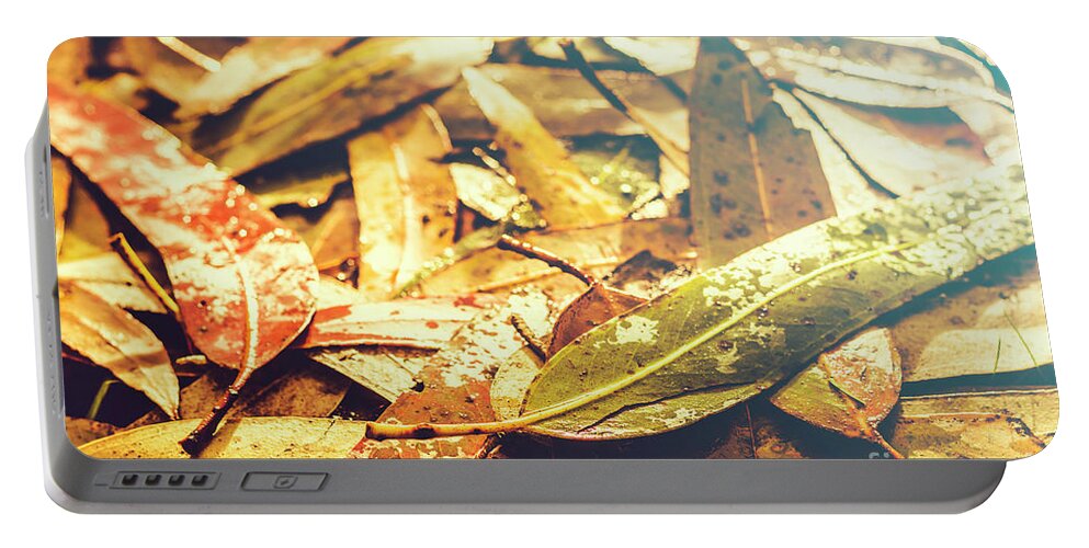 Fall Portable Battery Charger featuring the photograph Rain in fall by Jorgo Photography