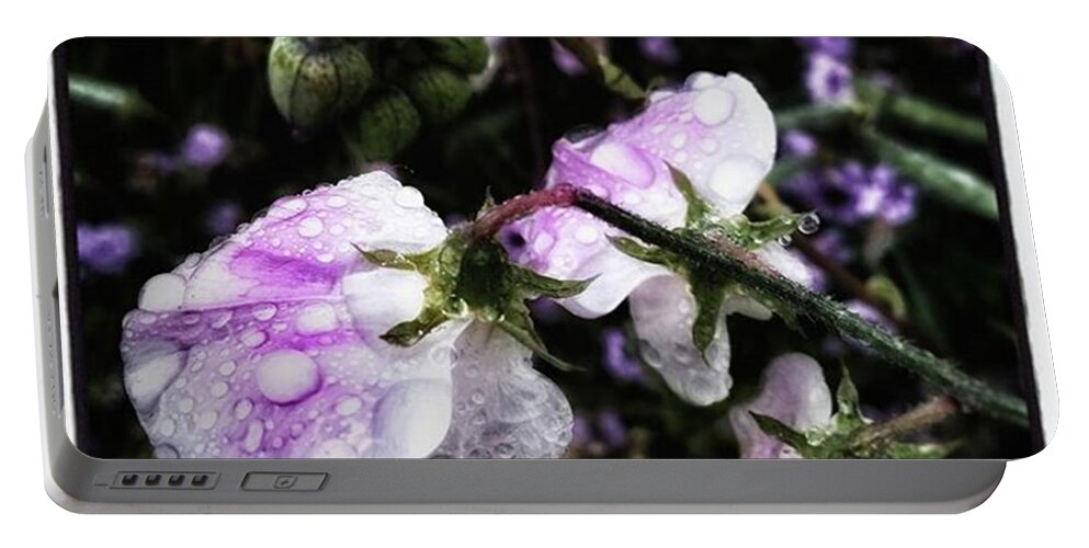 Flowers Portable Battery Charger featuring the photograph Rain Kissed Petals. This Flower Art by Mr Photojimsf