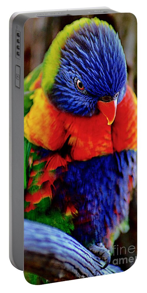Digital Photograph Portable Battery Charger featuring the photograph Rainbow by Adam Olsen