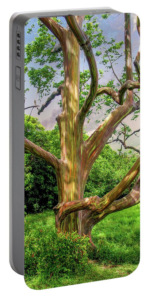 Rainbow Portable Battery Charger featuring the photograph Rainbow Eucalyptus by Will Wagner