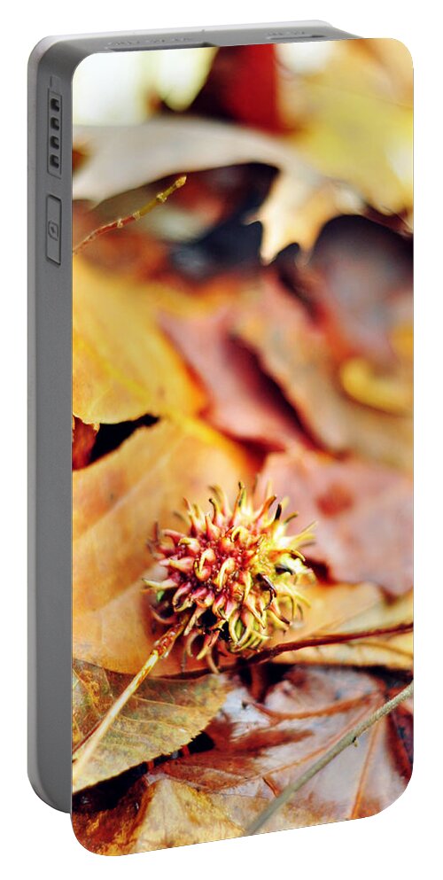 Autumn Portable Battery Charger featuring the photograph Rainbow in a Sigh by Rebecca Sherman