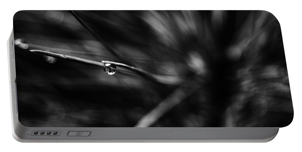 Pine Portable Battery Charger featuring the photograph Raindrop Black and White by Pelo Blanco Photo