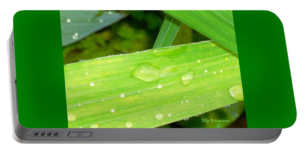 Leaf Portable Battery Charger featuring the photograph Raindrops by Elly Potamianos