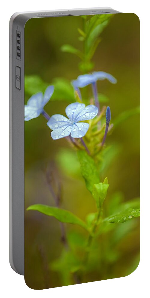 Leaf Portable Battery Charger featuring the photograph Raindrops On Petals by Az Jackson