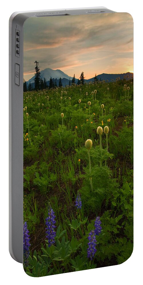 Meadow Portable Battery Charger featuring the photograph Rainier Wildflower Light by Michael Dawson