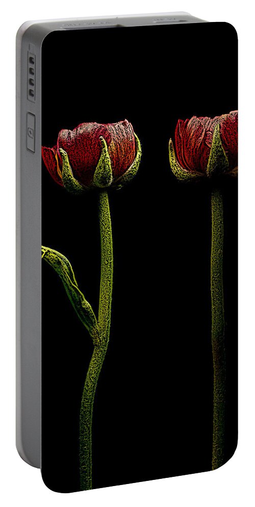 Ranunculus Portable Battery Charger featuring the photograph Ranunculus In Red by Movie Poster Prints