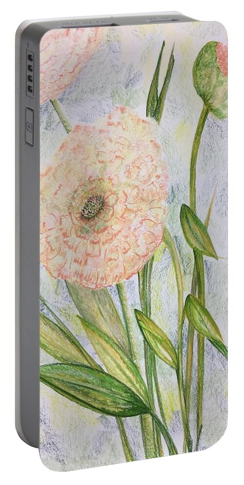Flower Portable Battery Charger featuring the drawing Ranunculus by Norma Duch