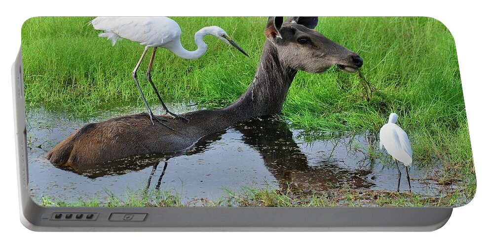 Deer Portable Battery Charger featuring the photograph Rapport by Manjot Singh Sachdeva