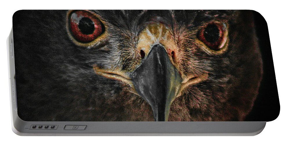 Bird Portable Battery Charger featuring the photograph Rapt Raptor by Jim Painter