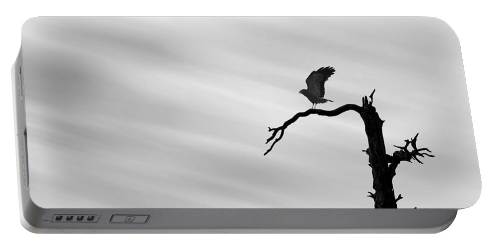 Raptor Portable Battery Charger featuring the photograph Raptor Silhouette by Joe Bonita