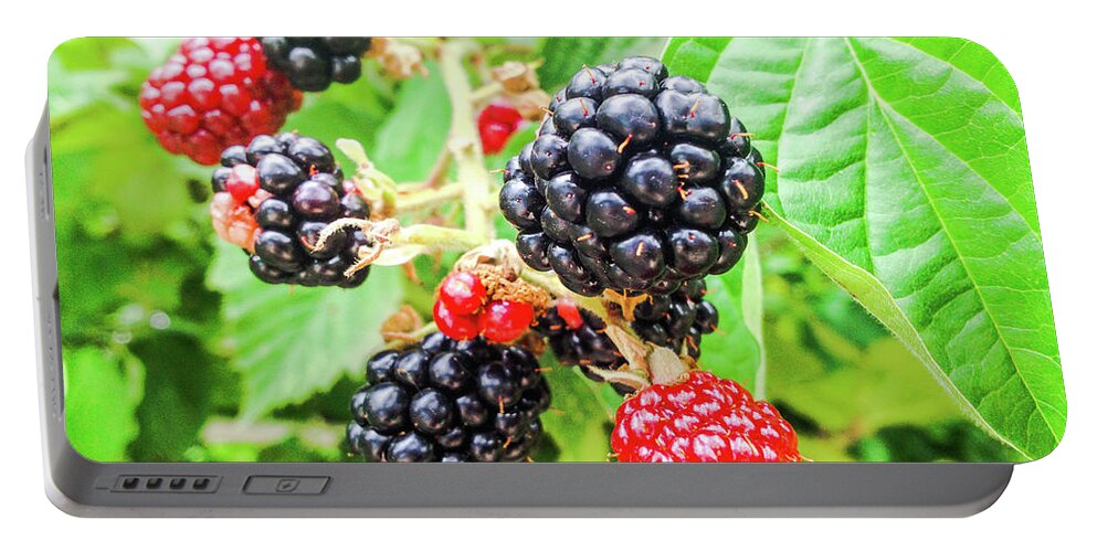 Fruit Portable Battery Charger featuring the photograph Raspberry by Cesar Vieira