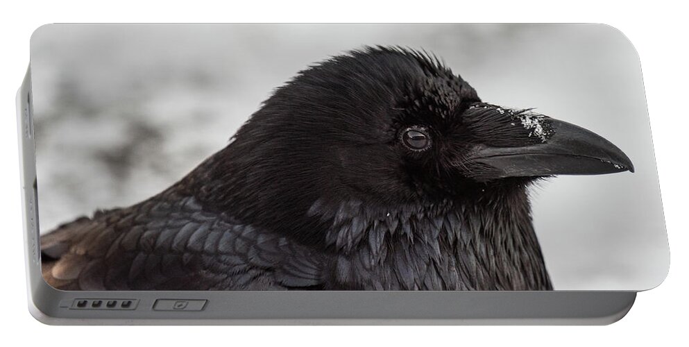 Raven Portable Battery Charger featuring the photograph Raven by David Kirby