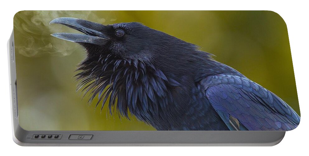 Raven Portable Battery Charger featuring the photograph Raven by Jackie Russo
