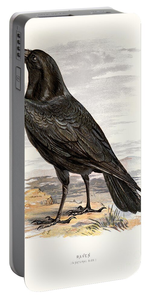 Birds Portable Battery Charger featuring the digital art Raven Restored by Pablo Avanzini