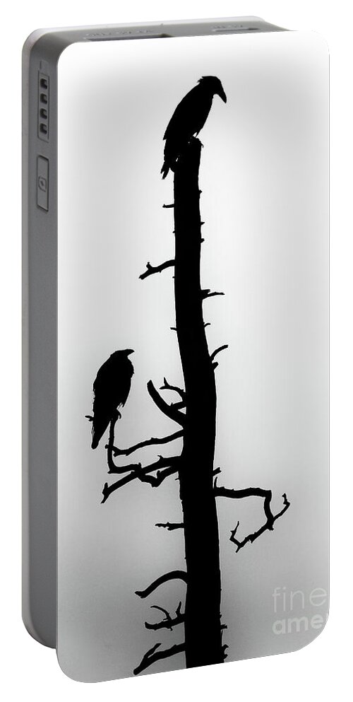 Raven Portable Battery Charger featuring the photograph Raven's Wood by Jim Garrison