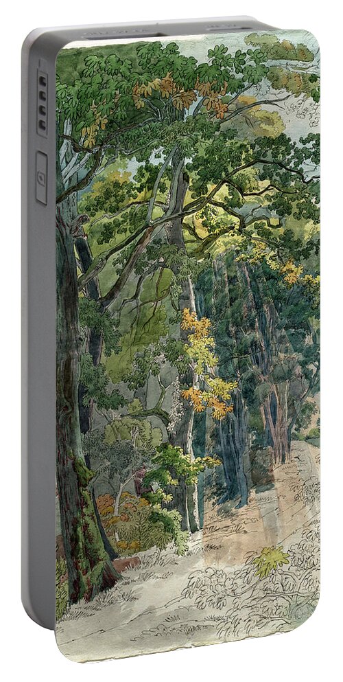 Friedrich Salathe Portable Battery Charger featuring the painting Rays of Sunlight Striking a Woodland Path by Friedrich Salathe