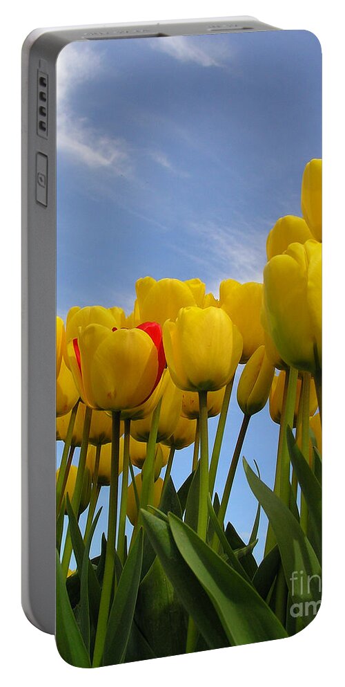 Tulips Portable Battery Charger featuring the photograph Reaching for the Heavens by Louise Magno