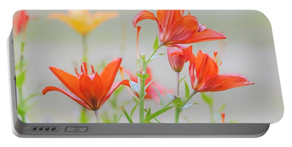 Flowers Portable Battery Charger featuring the photograph Reaching Higher by Merle Grenz
