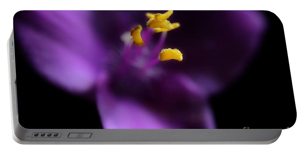 Purple Heart Flower Portable Battery Charger featuring the photograph Reaching by Michael Eingle