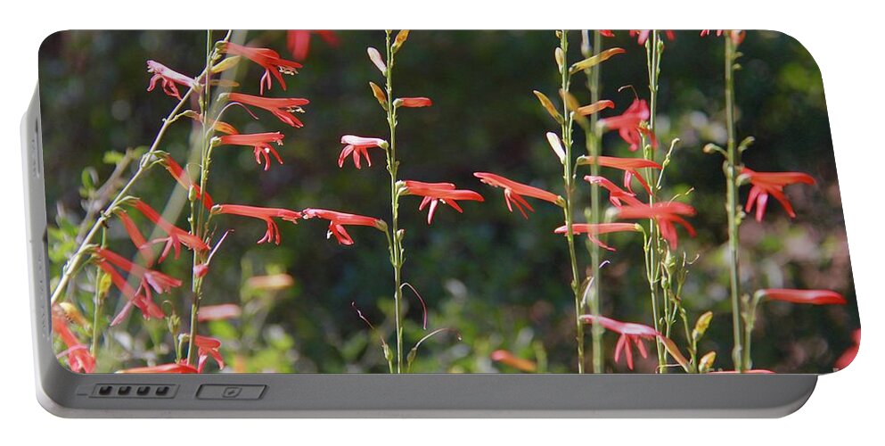 Red Portable Battery Charger featuring the photograph Reaching Tranquility by Suzanne Oesterling