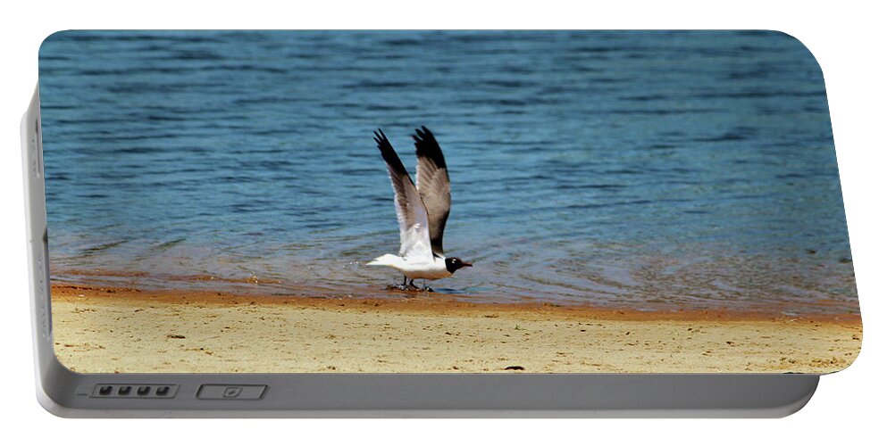 Laughing Gull Portable Battery Charger featuring the photograph Ready For Take Off by Cynthia Guinn