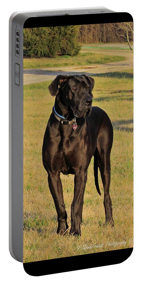 Great Dane Portable Battery Charger featuring the photograph 'Really Big Bigg of Crescent Farm' by PJQandFriends Photography