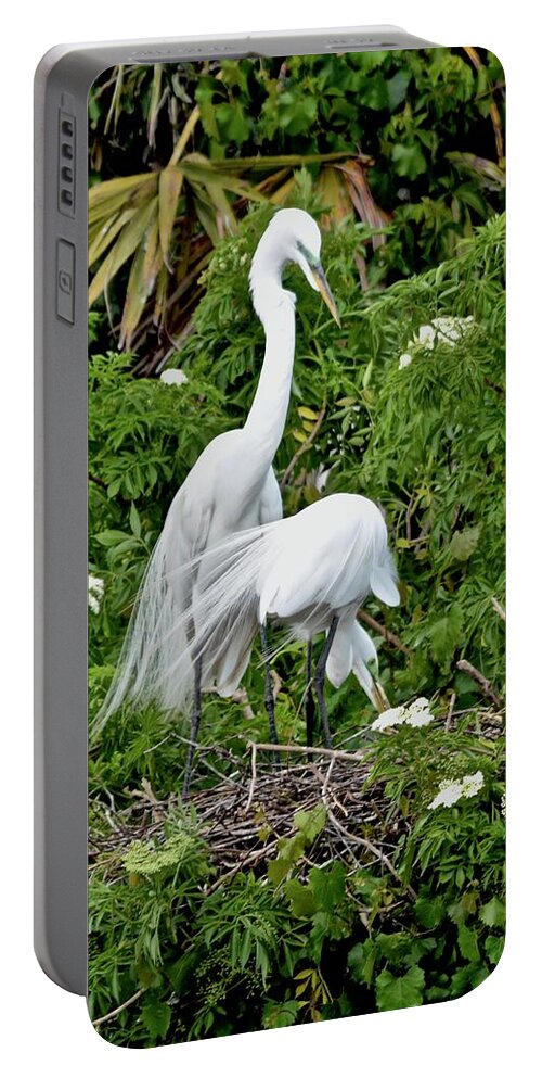 Rookery Portable Battery Charger featuring the photograph Rearranging The Nest by Carol Bradley