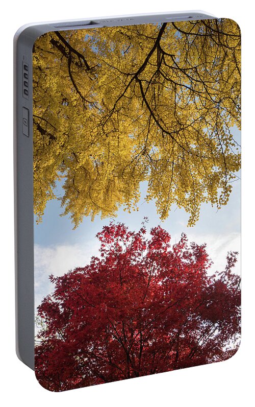 Japan Portable Battery Charger featuring the photograph Red And Yellow by Happy Home Artistry