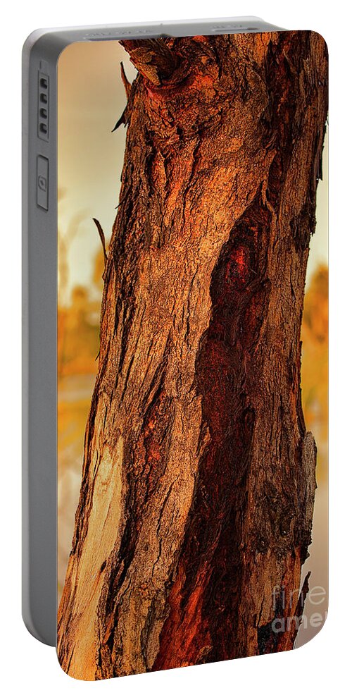 Tree Portable Battery Charger featuring the photograph Red Bark by Douglas Barnard
