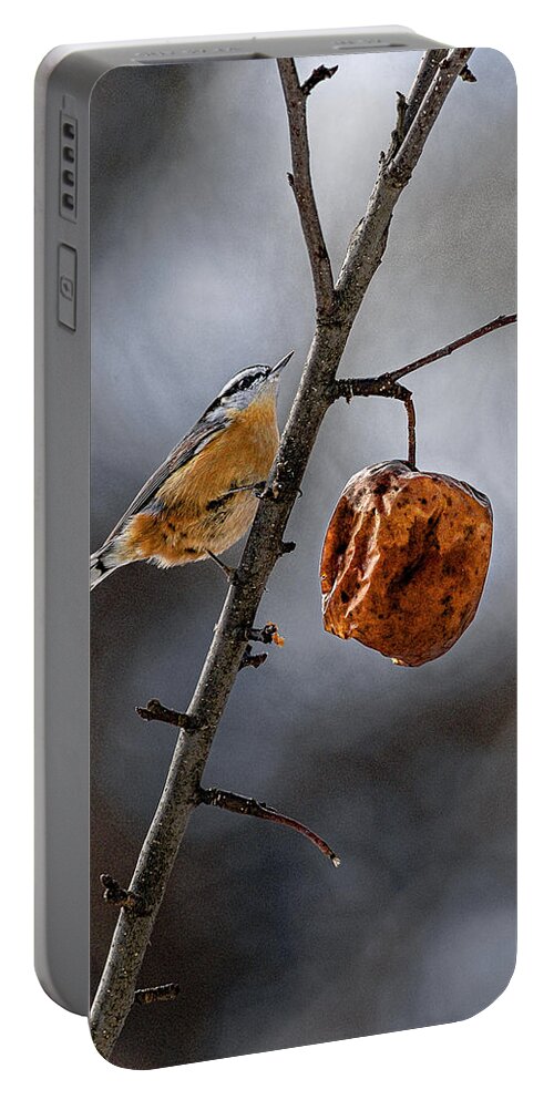 Red Breasted Nuthatch Portable Battery Charger featuring the photograph Red Breasted Nuthatch by Marty Saccone