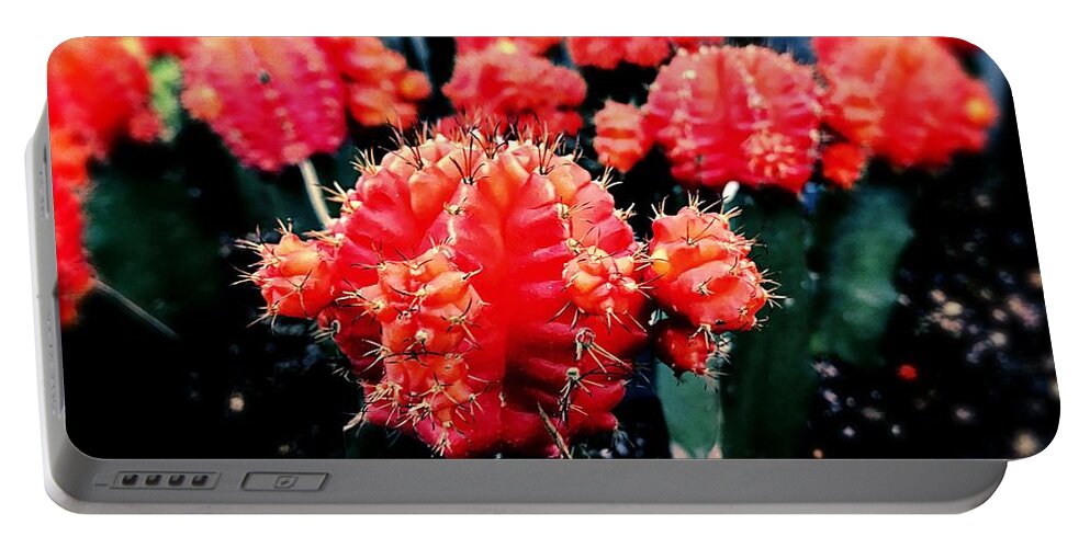 Cactus Portable Battery Charger featuring the photograph Red Cactus by JB Thomas