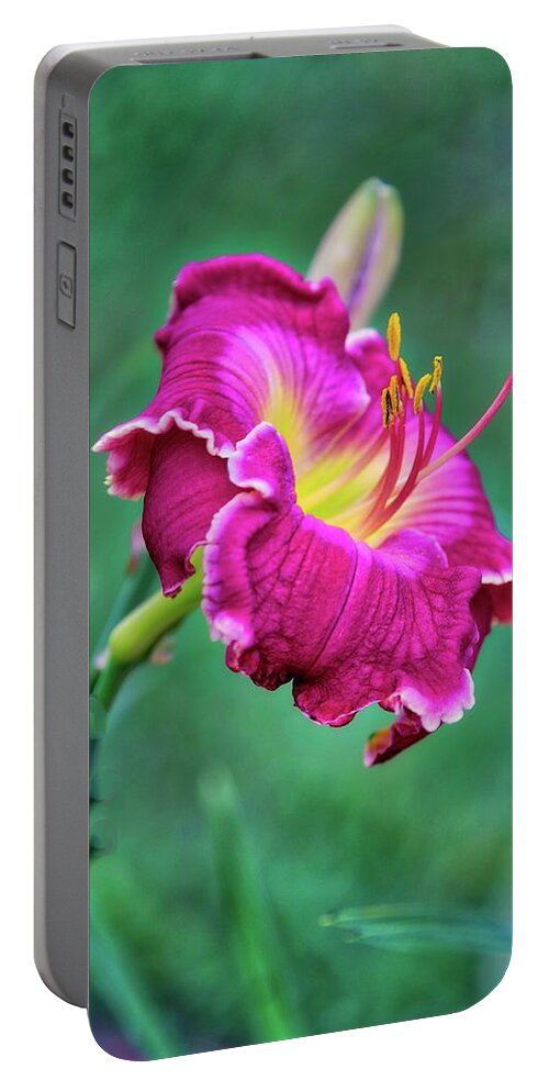 Flower Portable Battery Charger featuring the photograph Red by Ches Black