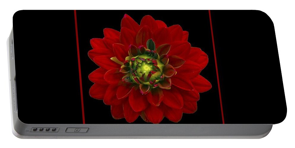 Dahlia Portable Battery Charger featuring the photograph Red Dahlia by Michael Peychich