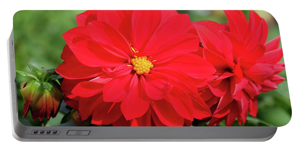 Red Dahlia Flower Portable Battery Charger featuring the photograph Red Dahlia by Ronda Ryan